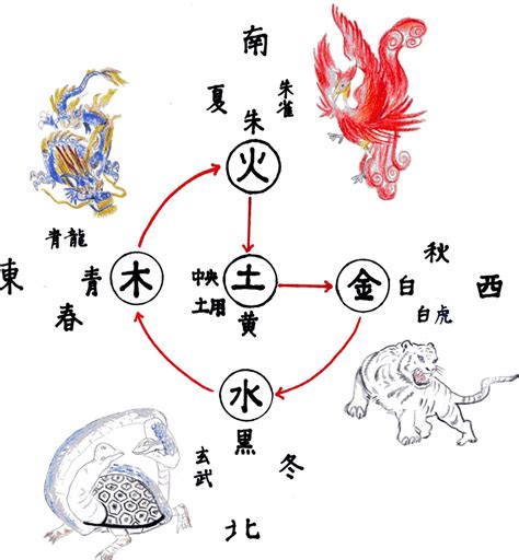 陰陽五行 動物|陰陽五行とは？その影響や太極図も解説